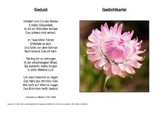 Geduld-Ahlefeld.pdf